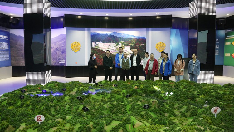 202110061633485881121909.jpg 1.jpg