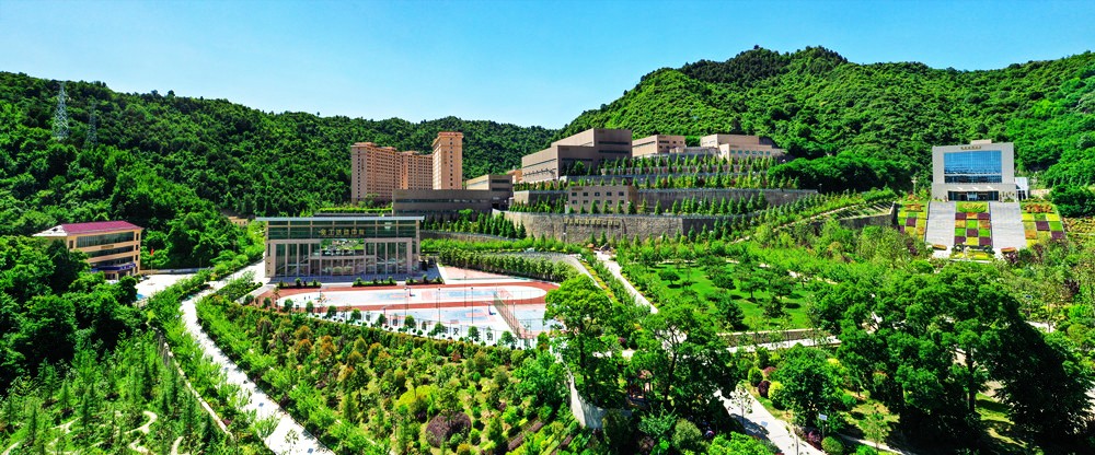 202207071657153726100358.jpg 5.jpg