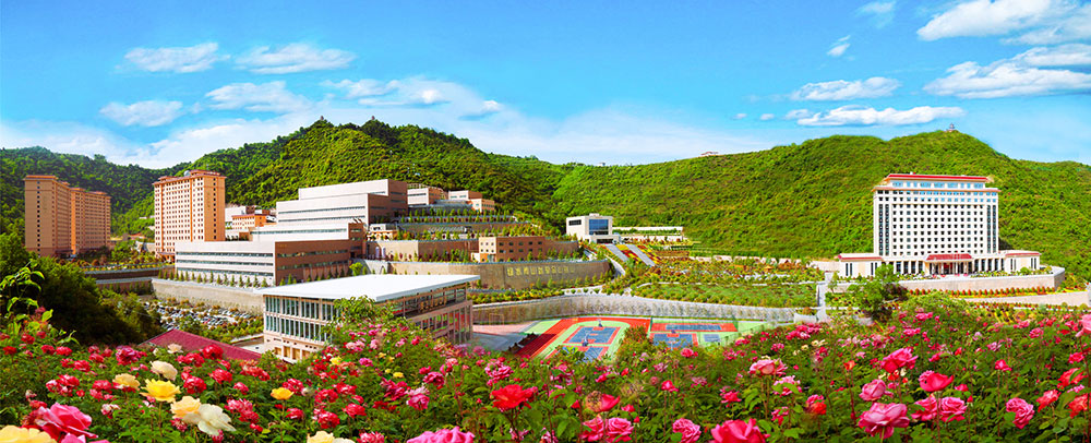 202303141678783653640148.jpg 三季有花、四季常青的金徽礦區(qū)-1000.jpg