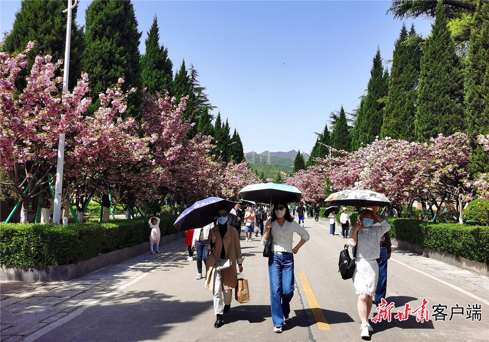 202305061683333927502504.jpg 2.jpg