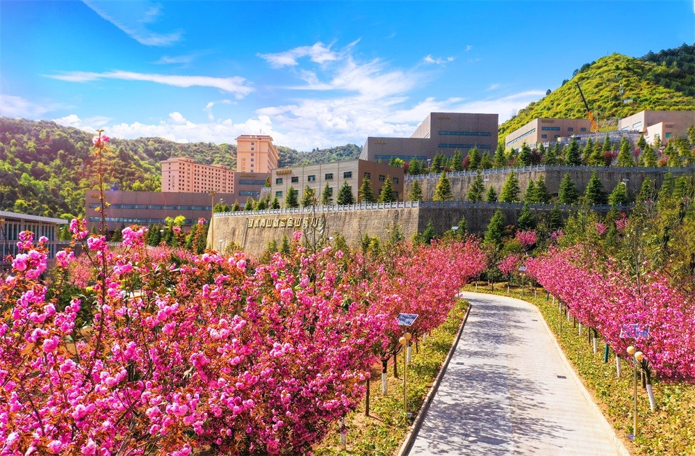 202306031685756019216342.jpg 18-櫻花大道-1.jpg