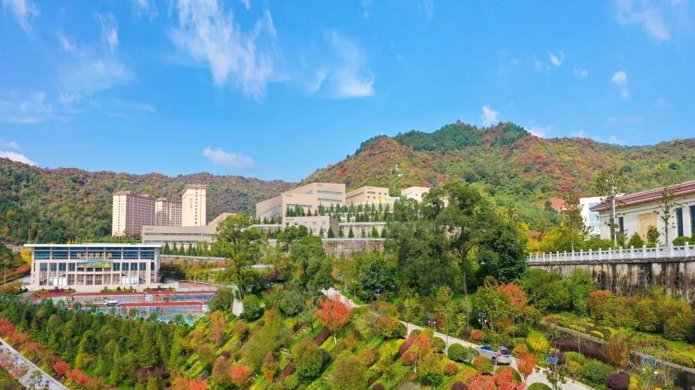 202311091699521957148250.jpg 640 (4).JPG